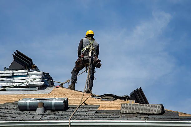 Professional Roof Replacement technician working in Lindon, CO